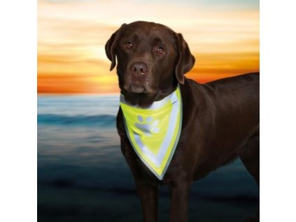 antialias 6c6a0e3e 9ba2 4ebb 97c6 19eb5b49f8f0 f3476b487d85504928d279f6664e07b7