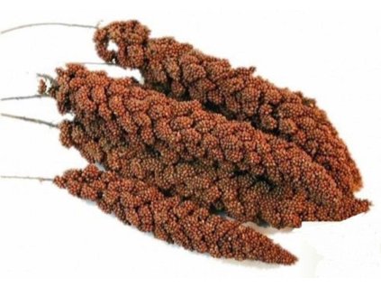 antialias 5bc90596 44ec 42fe a172 23b790674ca8 520879b0e905189828b4e6c7f7adf355