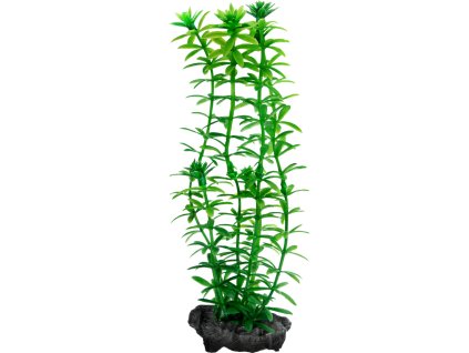 antialias 4cfa0fcb cc7a 4cd9 af0b 14741d03d7ff cba4ed28a9a213f5ac9fec2eaf4961c7