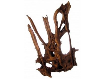 Kořen Mangrowe 50-65cm
