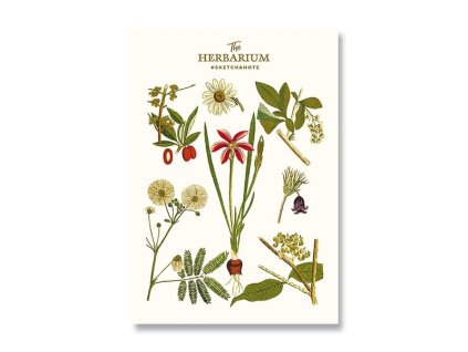 218310 nacrtnik shkolyaryk sketch note botanik a5 cisty 64 listu mix motivu