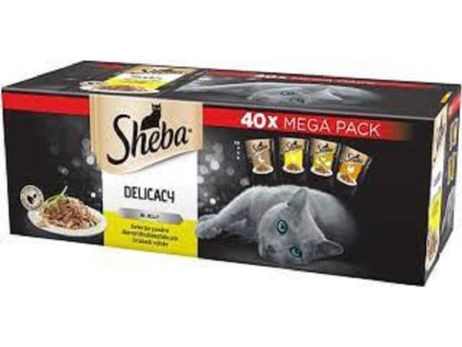 antialias 877f850e dd8d 40fc 97ee b5973afb432d f9156ad45449751a3ff641deec17d740