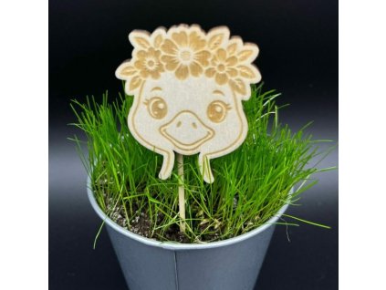 2f03776cbd173d9ac36dcc2f1f3d5457 800