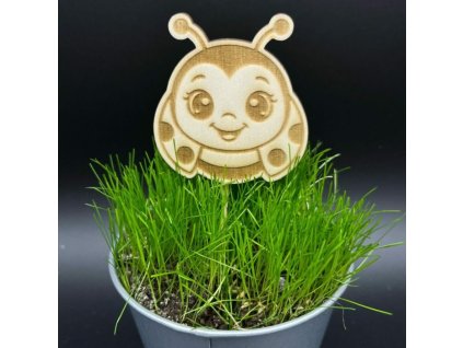 ef1889b93e53e8716d6961d646c7fe1f 800