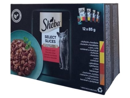 antialias 321e5f10 63e8 46e9 96ad 848ca4c604f6 b1f1bb5f6b63cd634c1816175ce1d819