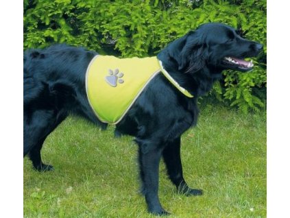 antialias 357b769c 0c6d 4da1 9032 988aa78a0035 9905979e7c5c98141c832b58bc51f609