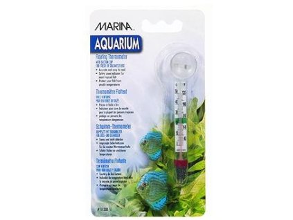 antialias 0d522d8b 5ecd 4aef b423 5e1080b782e8 98578b2d93dc9541d3ae5dab5563ce79