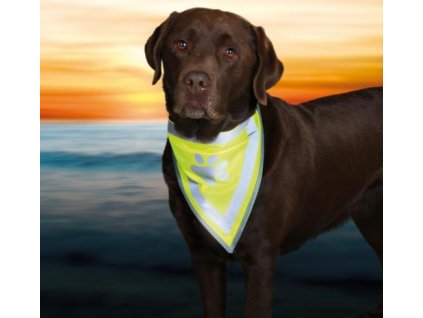 antialias 4530e317 50e8 4ab0 bb2b fbd308b3976d 207df024ef3b6739d874763902ed8caf