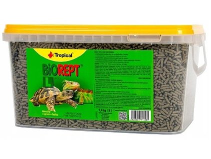 antialias 315ebcb0 a45e 40d2 aa98 a1969db8409e fc00a2d58e56d788163b8518420167b3