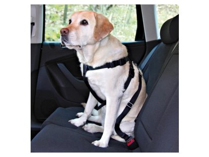 antialias 1591bbd7 ed7d 4de5 ba1a 4b07a862754f 2dad563a9c3e0bd88d064d88361f002c