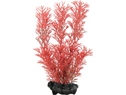 antialias a2314f22 a322 49f4 a5fd 692e4929eac0 d16304f652726bd5d225eb8e5224f310