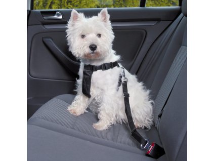 antialias 426beb8e 7a4a 4adb 9d11 198ce5a4bad6 de44fb6f0c3869725634c1611e2732cb