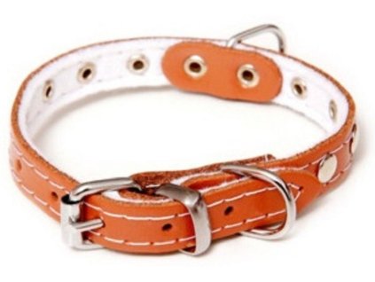 antialias 2826a868 e340 4b67 a910 4f2073d6dda6 9e2adc88d45d6170ea3d402b6119232f