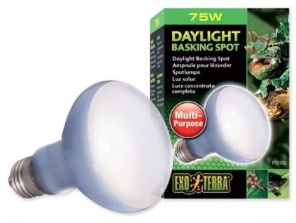 antialias 454a4089 d138 4ace 9f32 b8e5e34b71d4 e8bc36de545916e0882c8034732f909c