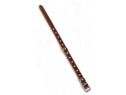 antialias 4a6d3f00 5bd7 4af9 904a 10219a5a9f05 766a6754f8653d5754e13ba1e17bedec