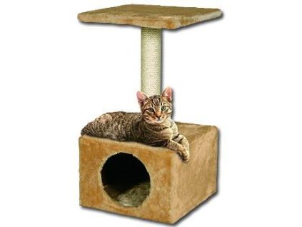 antialias c91d602a 94a0 0001 634e 115019f01a10 855e59e7775d1915a6d698e55fdcd1a6