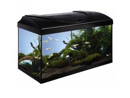 antialias aafc2ce1 4474 4297 b277 64a92e2dcd2b 7b711f15bf0acf6822eb0a3bc4242e81