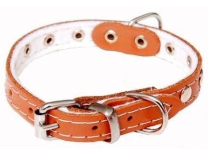 antialias 7d38ceb6 2dfc 4d78 9f5d 9260cfa358e2 a21a352e27b63cb6aba5f55915f8eac2