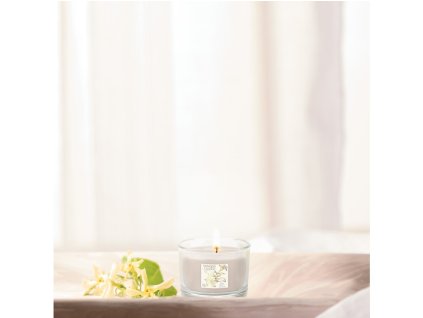 256867 yankee candle votivni svicka plnena ve skle slow bloom