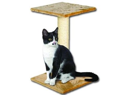 antialias d50aa4ce 6bae 4921 ae05 034ce50c2ab0 55c1c9c0021aa48497f79cdae9c1d89a