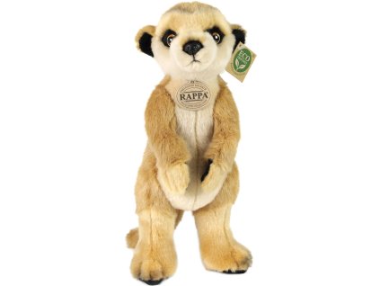 rewrite 84713 222700