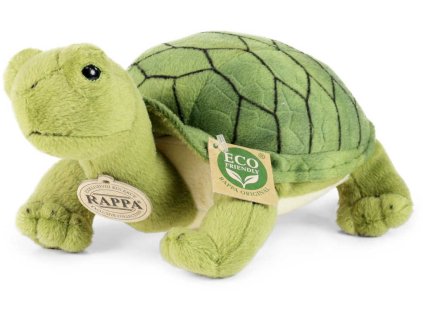 rewrite 58015 221543