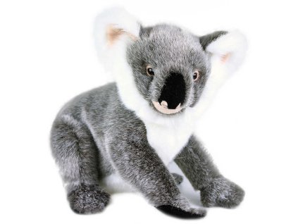 rewrite 52578 205628