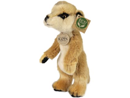 rewrite 91235 222960