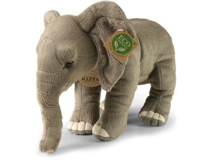 rewrite 188464 242265