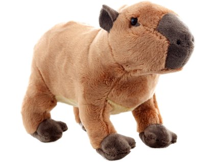 rewrite 145335 269970