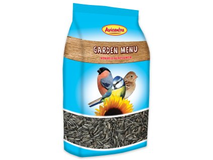 2899 1 slunecnice zihana