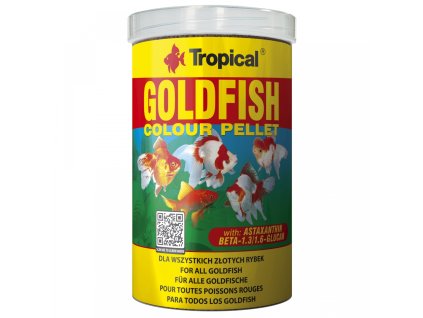 5566 tropical goldfish colour