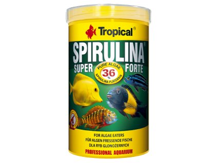 6013 tropical super spirulina forte