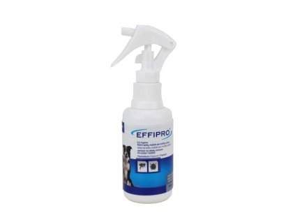 14629 effipro spray 100ml