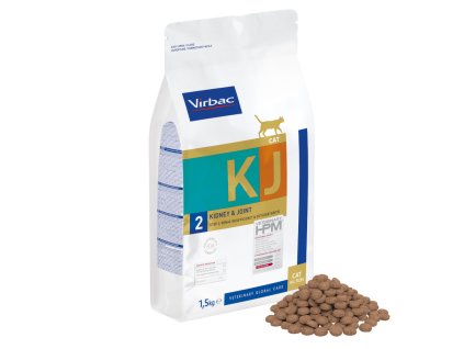 15109 2 veterinary hpm cat kidney joint 2