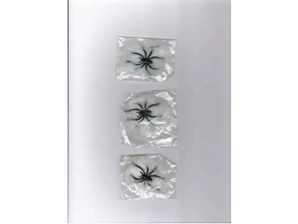 pavouk s pavucinkou.jpg.big