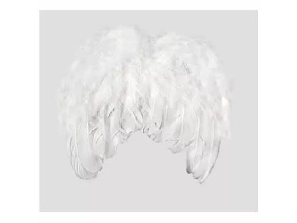 kridla peri 20 20.jpg.big