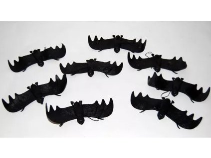 netopyr maly.jpg.big