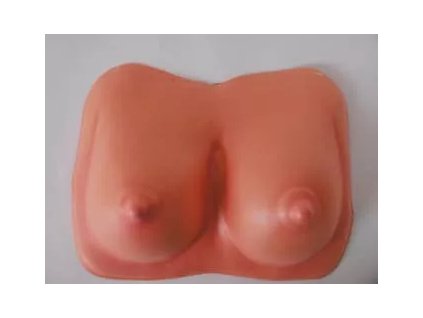 prsa plastova.jpg.big