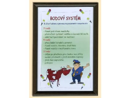 bodovy system schema.jpg.big