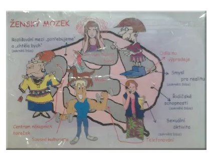 zensky mozek schema.jpg.big