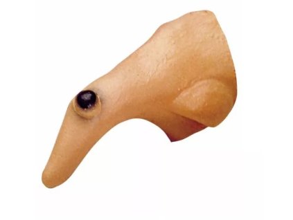 nos carodejnicky.jpg.big