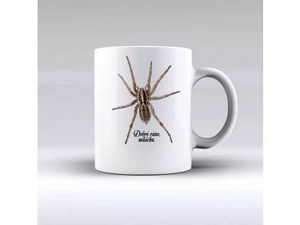 hrnek pavouk.jpg.big