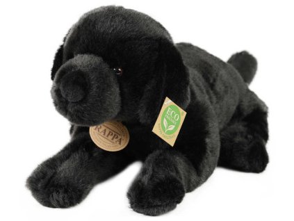 rewrite 45678 221130