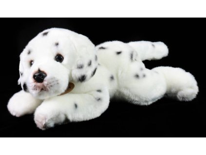 rewrite 47078 221659