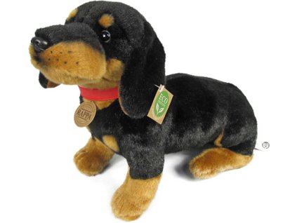 rewrite 43493 201538