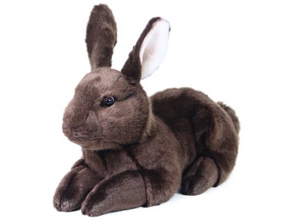 rewrite 41072 209633