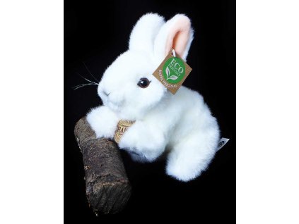 rewrite 31703 210141