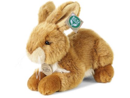 rewrite 63571 221383