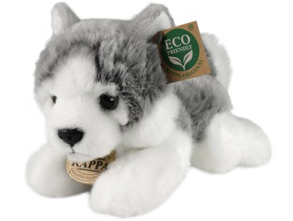 rewrite 95531 242562